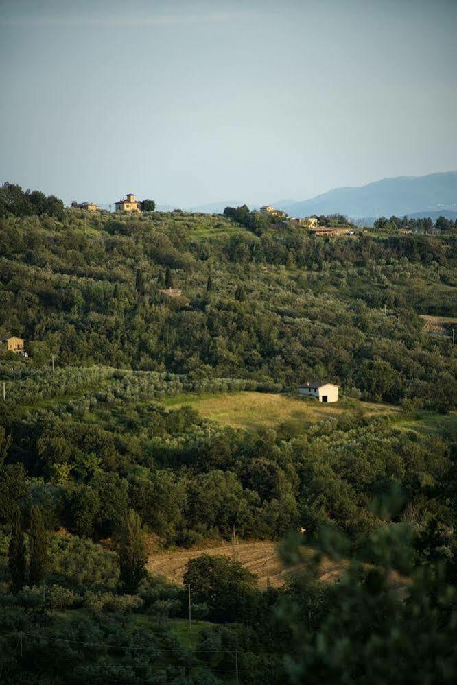 Agriturismo Le Colombe Ασίζη Εξωτερικό φωτογραφία